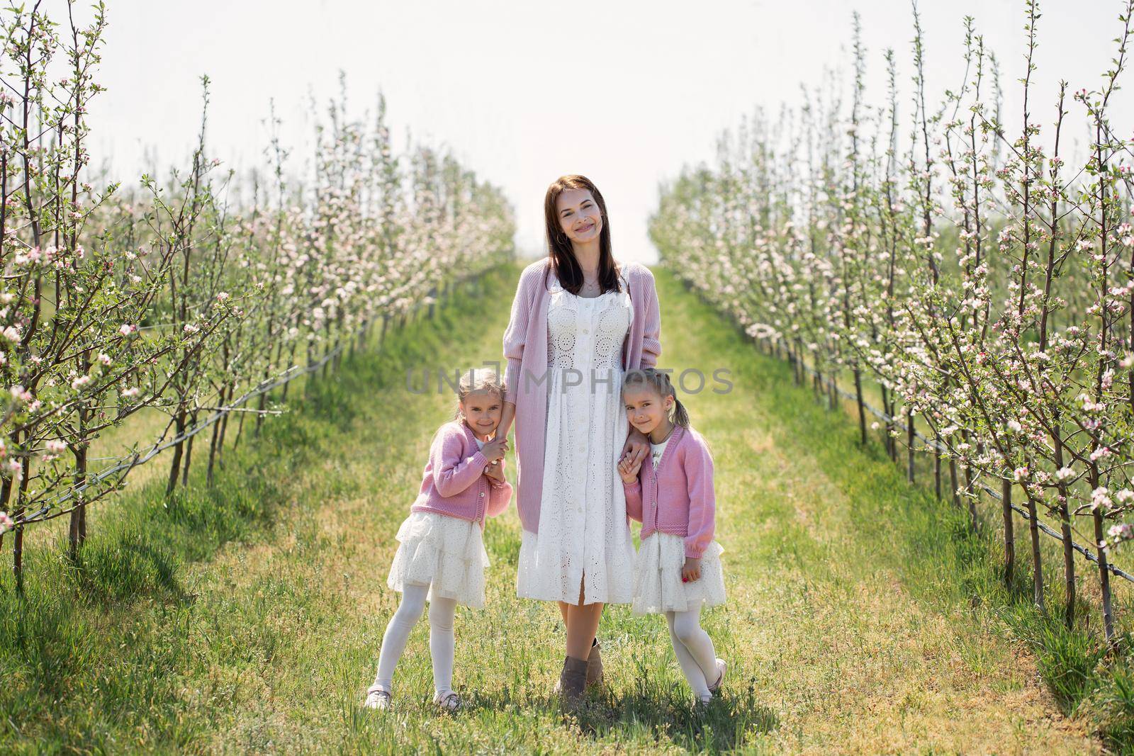 Mother and her twin daughters hold hands and walk through a blooming Apple orchard in spring by StudioPeace