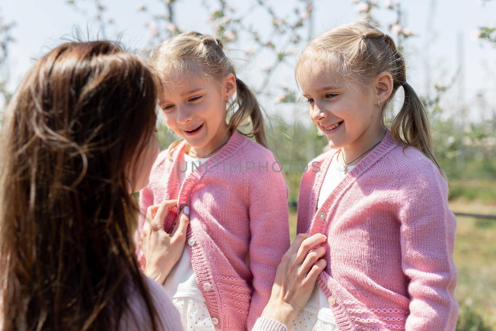Young mother zips up pink sweaters for her twin daughters in an Apple orchard by StudioPeace