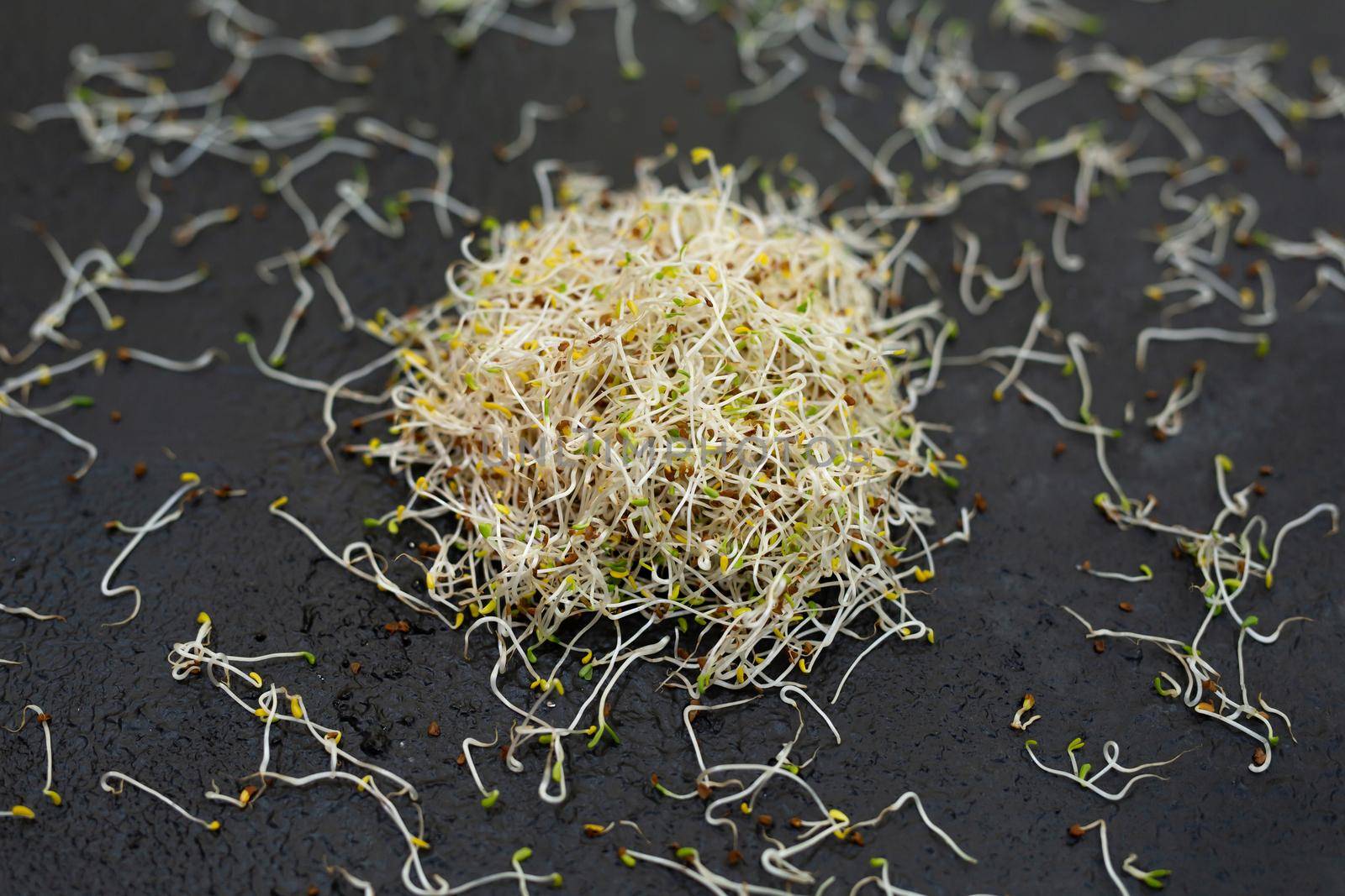 A closeup shot of fresh and raw alfalfa sprouts. by StudioPeace