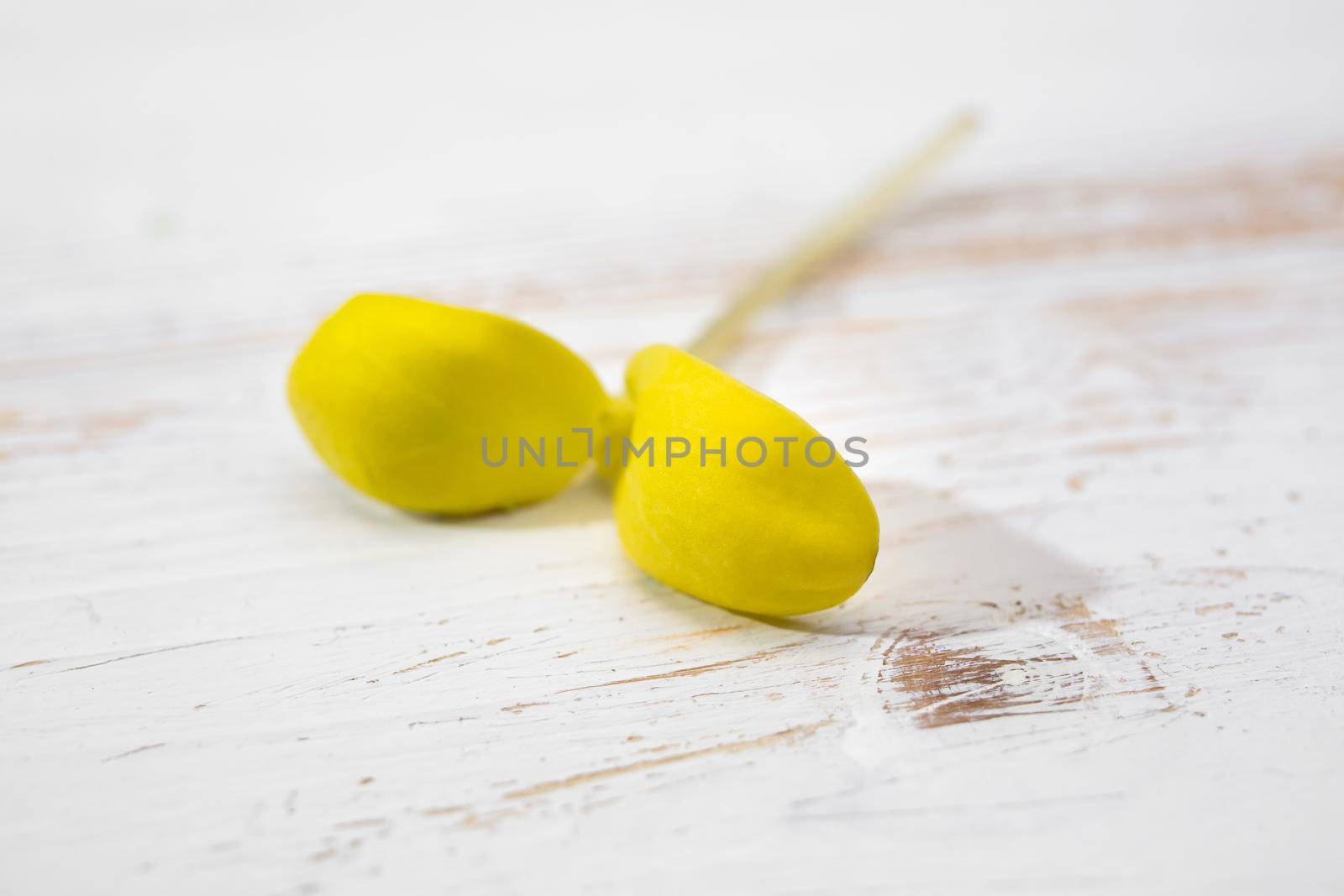 Shoots of vegan sunflower greens are yellow. Microgreen plant sprouts isolated on a white background.