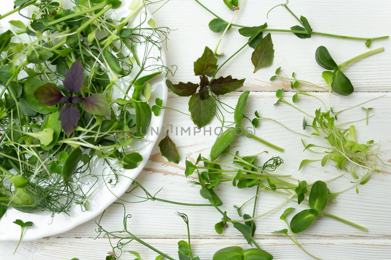 Assortment of micro greens on white wooden background, top view.