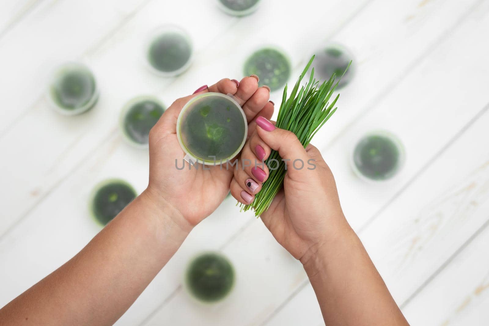 Frozen jars of whitegrass and sprouted wheat in the hands on a white background.