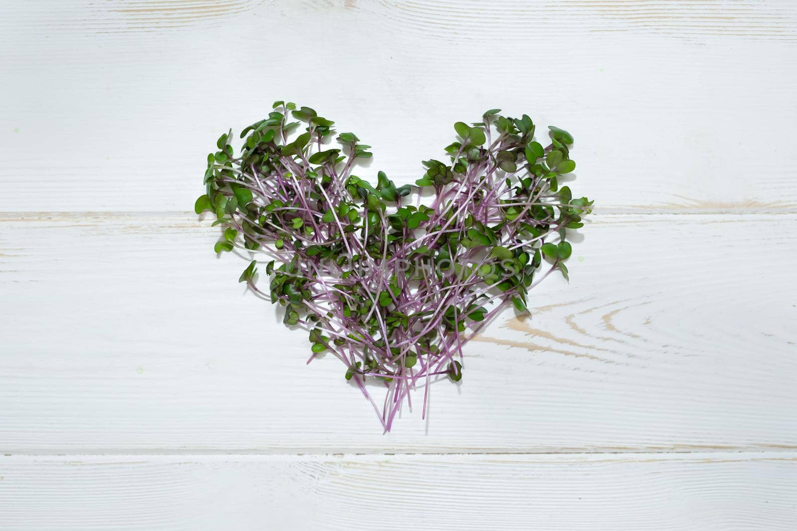 Sprouts of fresh red cabbage, cut stems on a white heart-shaped tree, top view. Micro-green Kohlrabi plants.