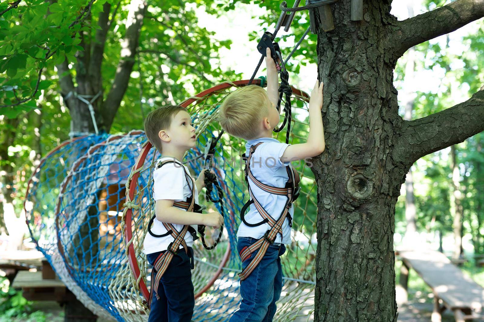 A little boy helps his friend with equipment in a rope park by StudioPeace