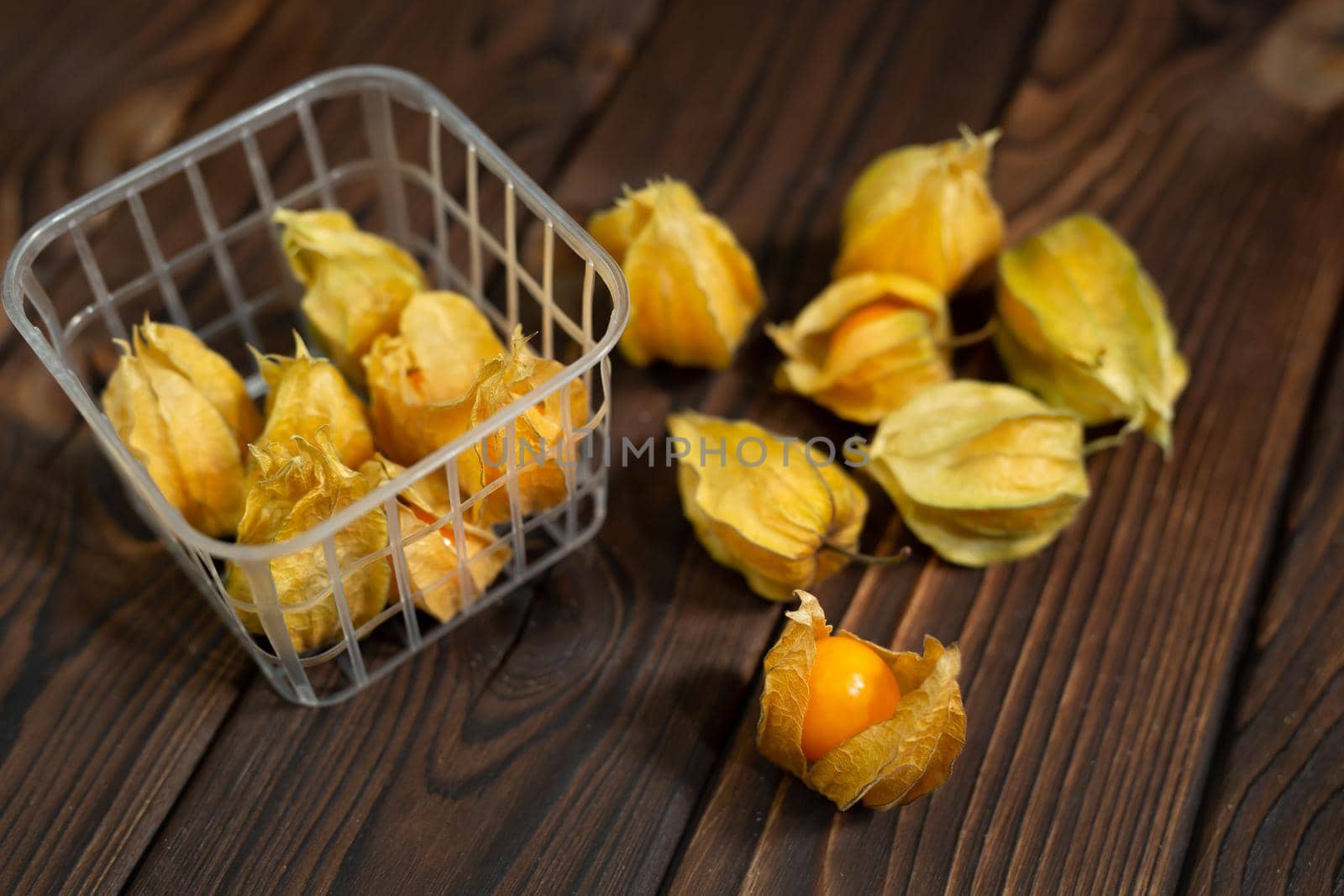 Photo of yellow physalis on a wooden background. by StudioPeace