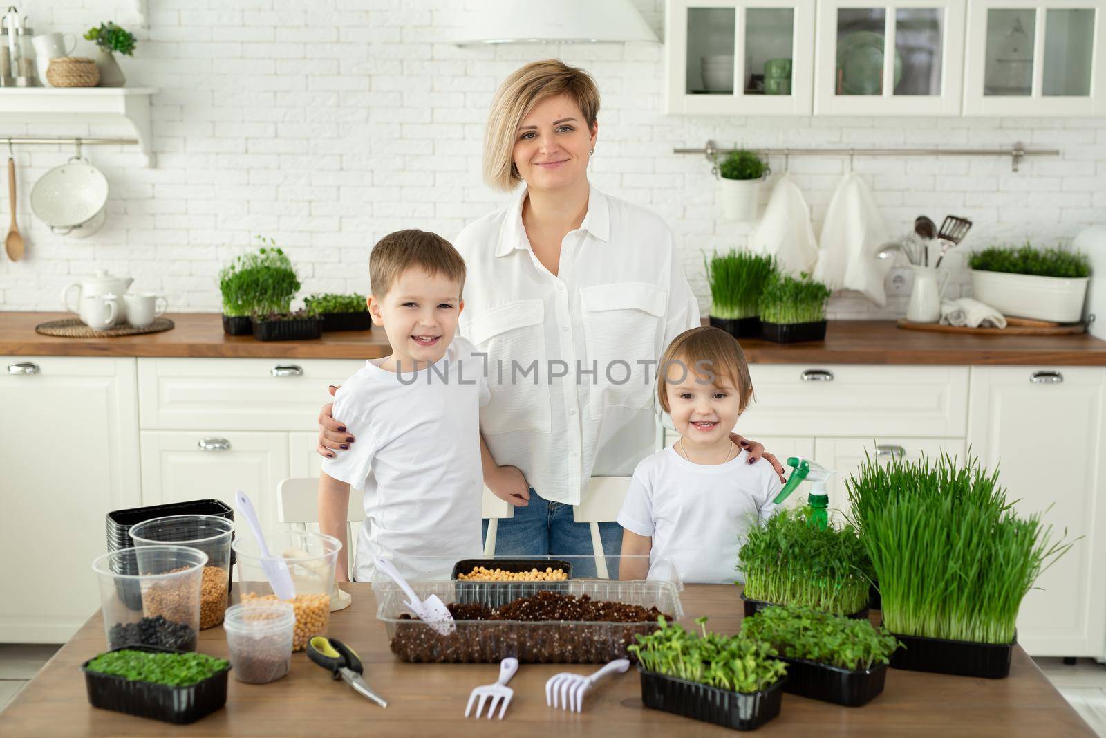 Young mother and her children pose in the kitchen at the table during the microgreen planting. Healthy food, citiferma. by StudioPeace