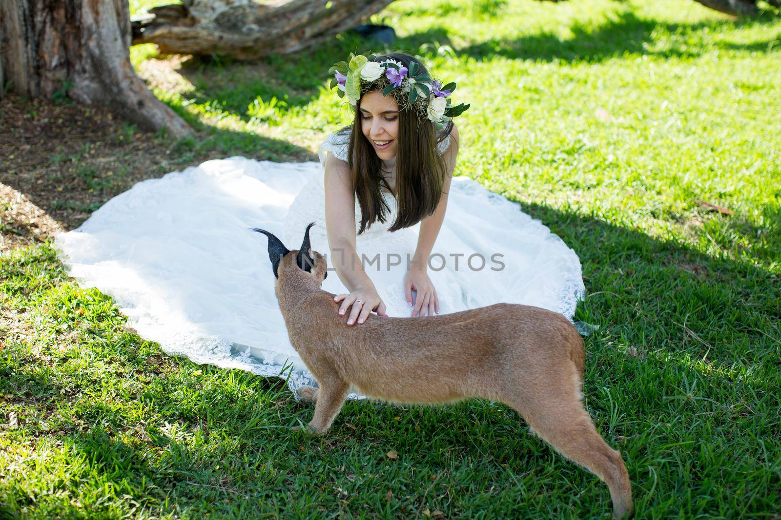 A bride in a white dress with a live trot on a green lawn.