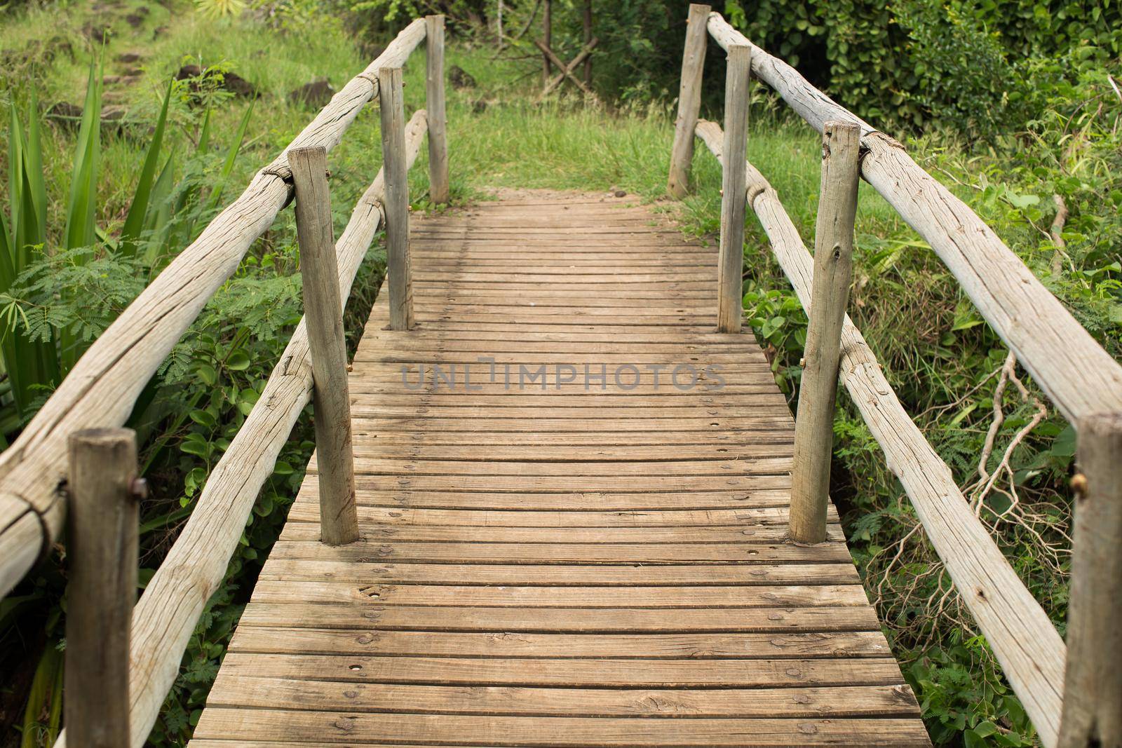 Wooden bridge over abyss with aloe and cacti.