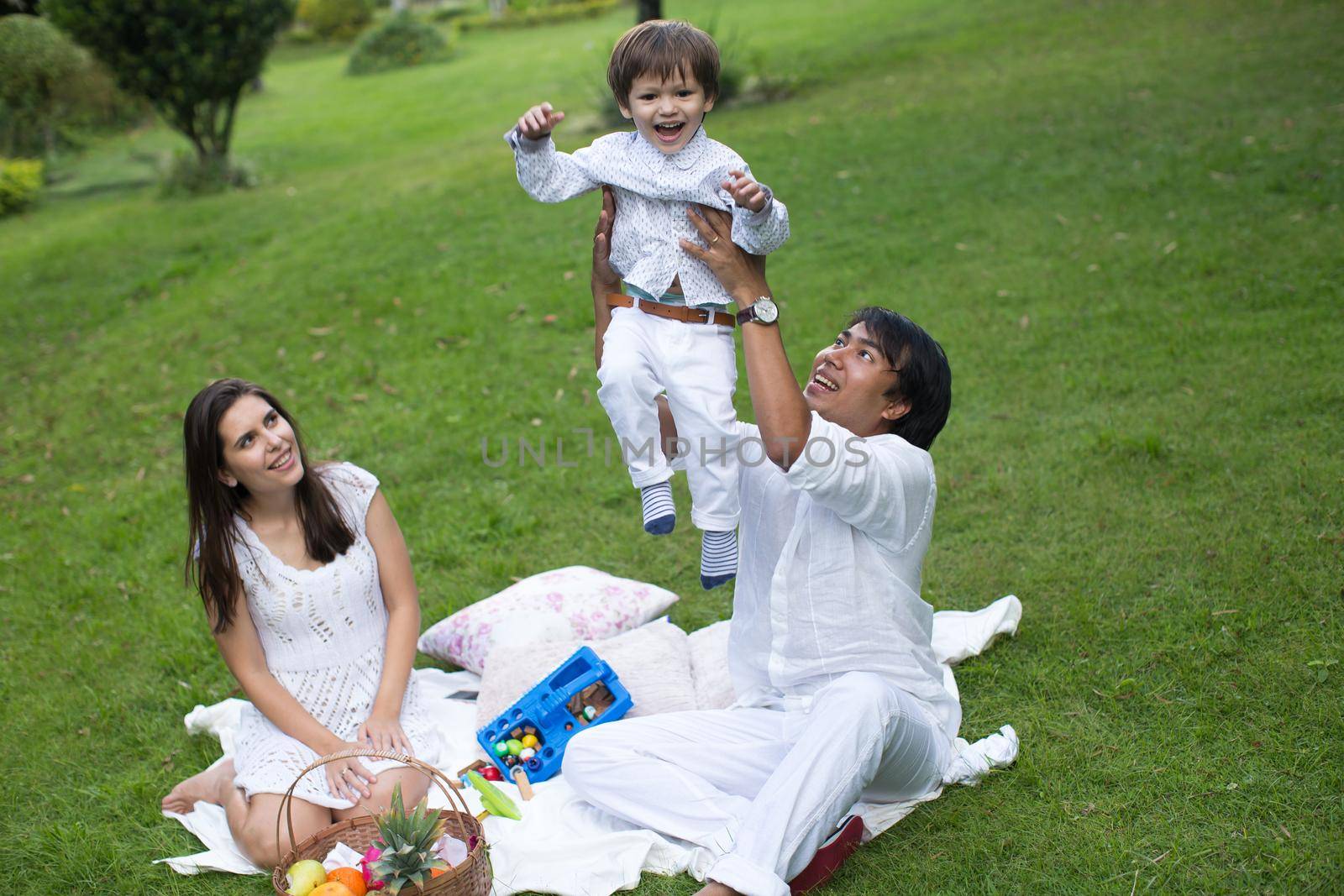 Family picnic of a happy family in the park on a green lawn by StudioPeace
