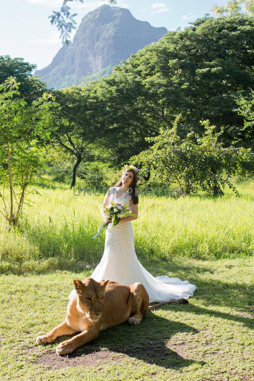 Beautiful bride and a lioness in the picturesque nature. by StudioPeace