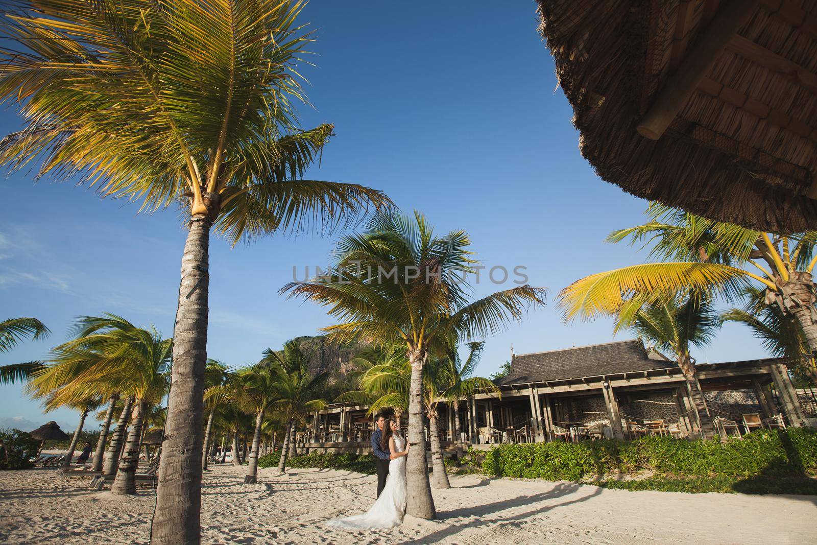 beautiful wedding couple on the beach near palm tree