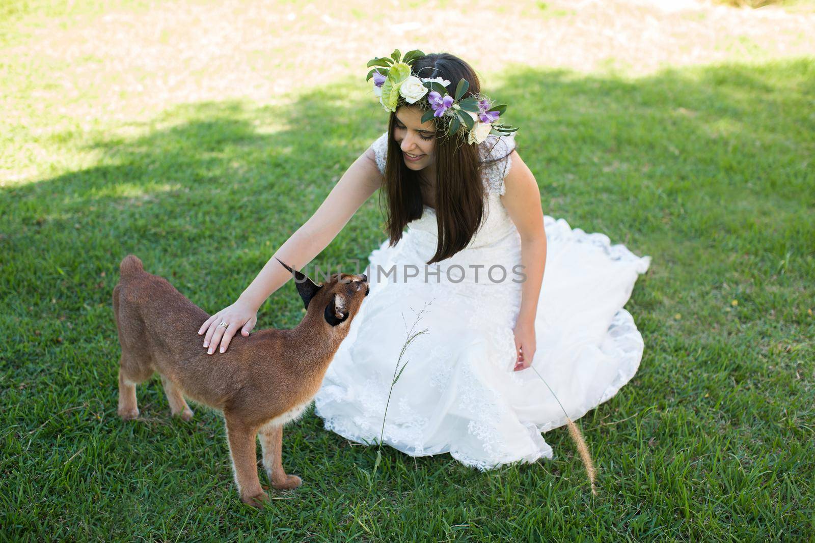 A bride in a white dress with a live trot on a green lawn.