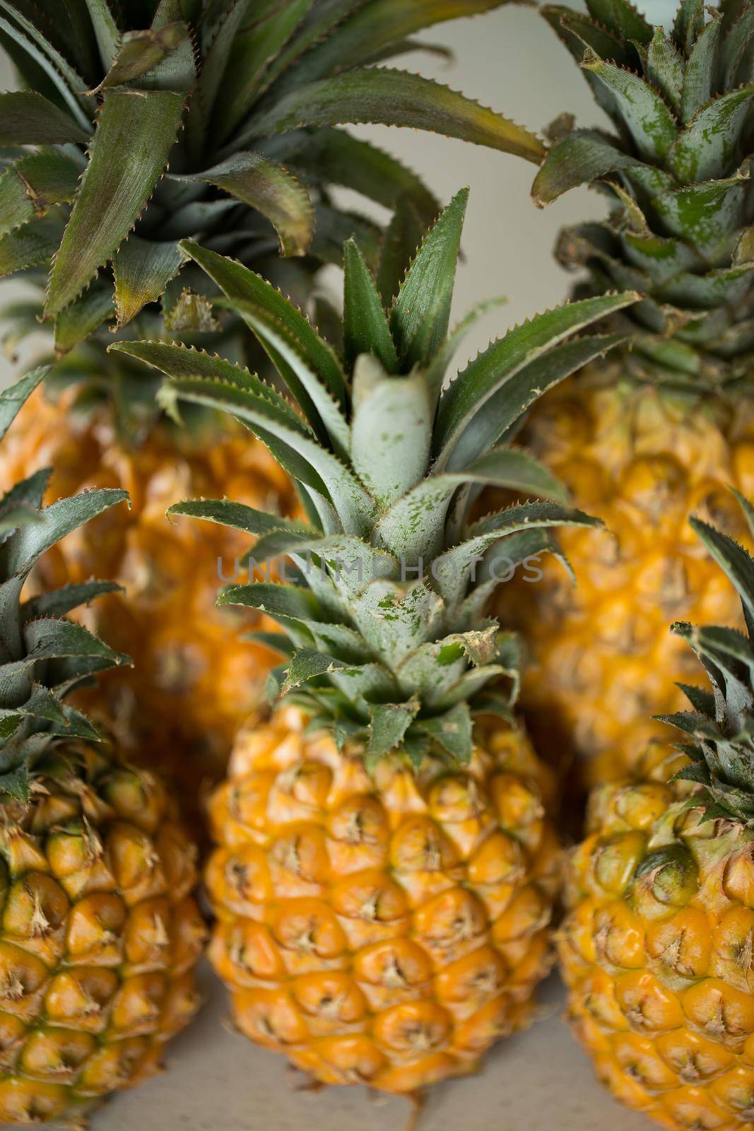 Lots of fresh ripe pineapples close up.