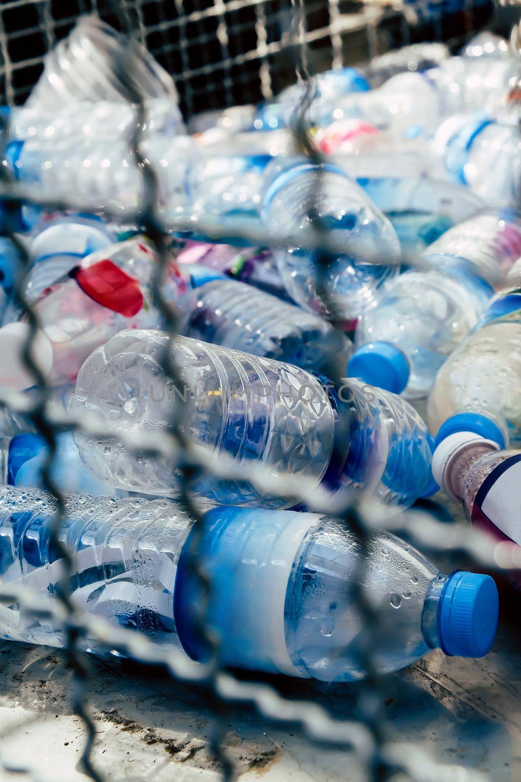 Image of Plastic bottles and containers prepared for recycling