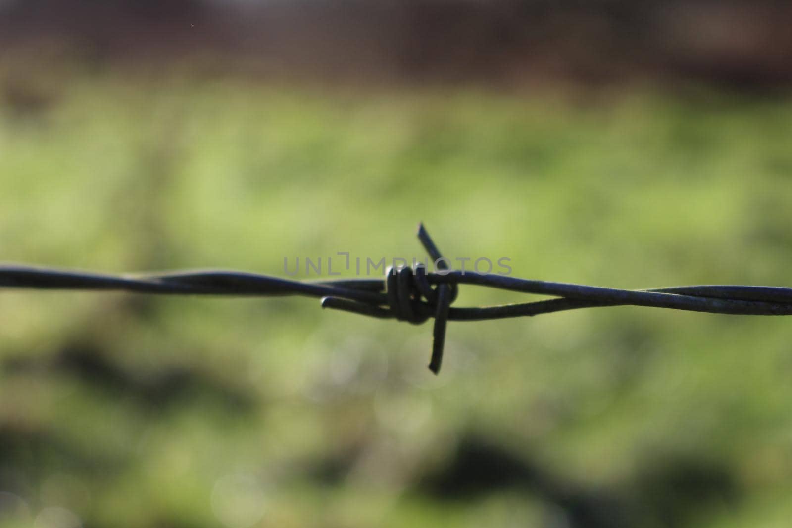 Close up of barbed wire in front of a blurred field background. High quality photo.