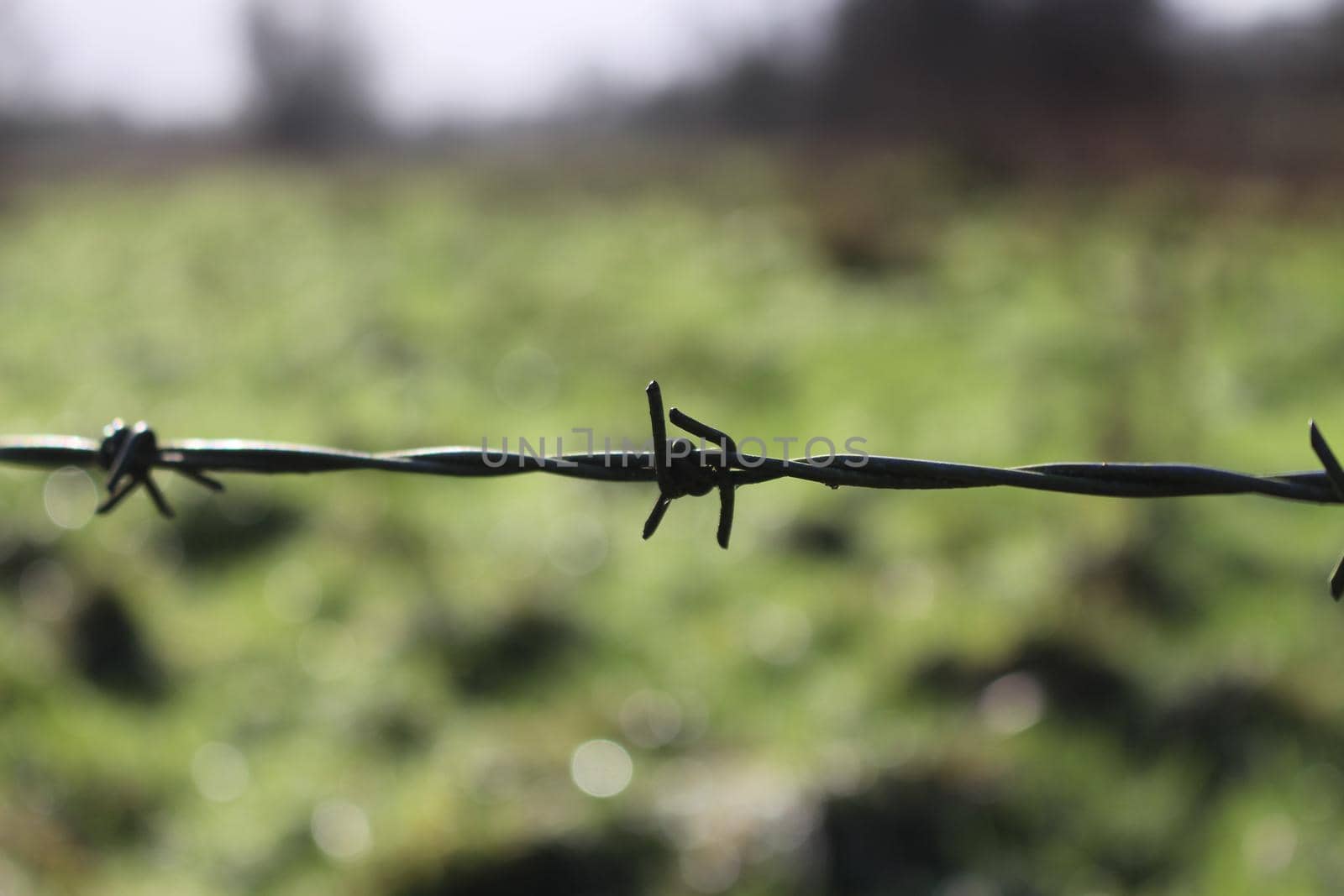 Barbed wire in front of a blurred bokeh grass field, on a crisp spring morning in Hampshire, UK. High quality photo.