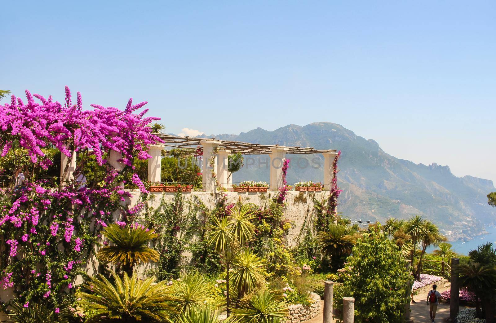 Vibrant Italian garden in the historic town of Ravello, overlooking the summer Amalfi coastline, Italy. High quality photo.