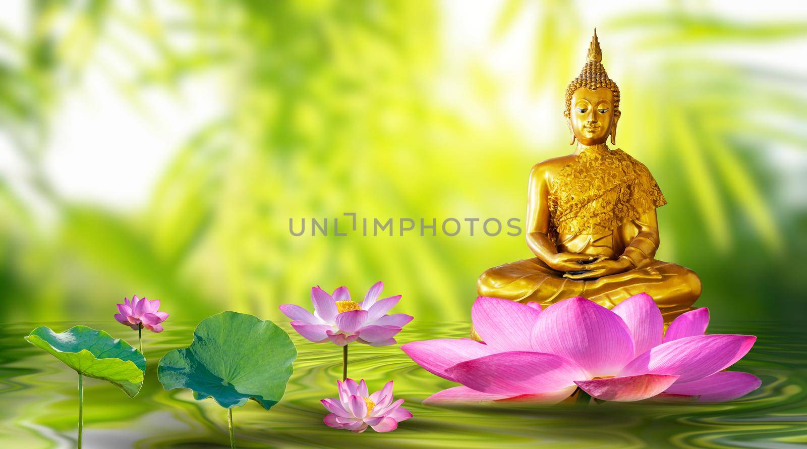 Buddha statue water lotus Buddha standing on lotus flower on orange background by sarayut_thaneerat