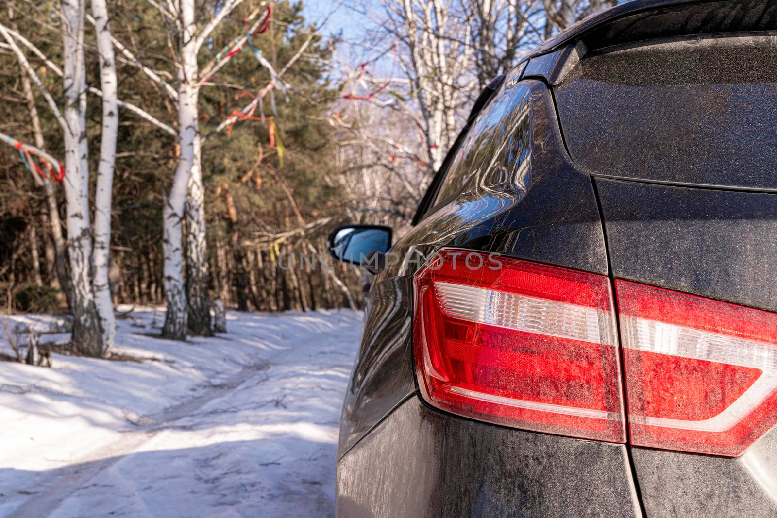 car in winter in the forest close-up by roman112007