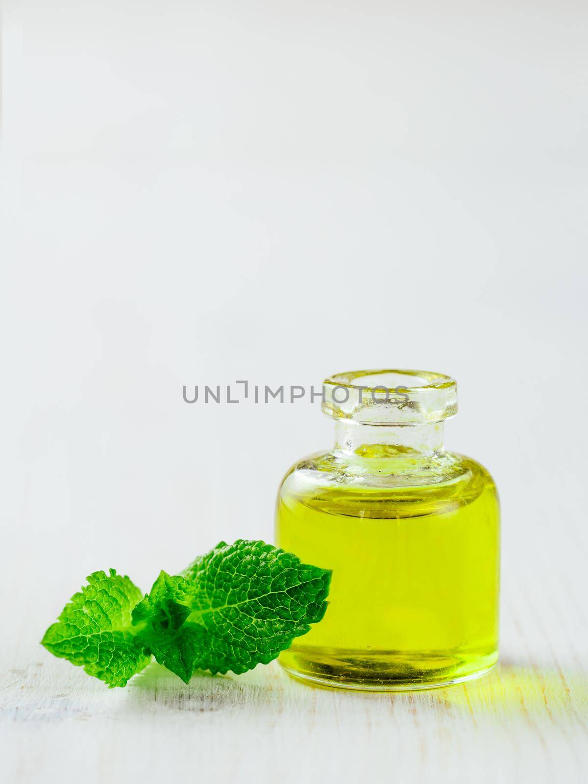 Melissa or mint oil with green leaves, copyspace by fascinadora