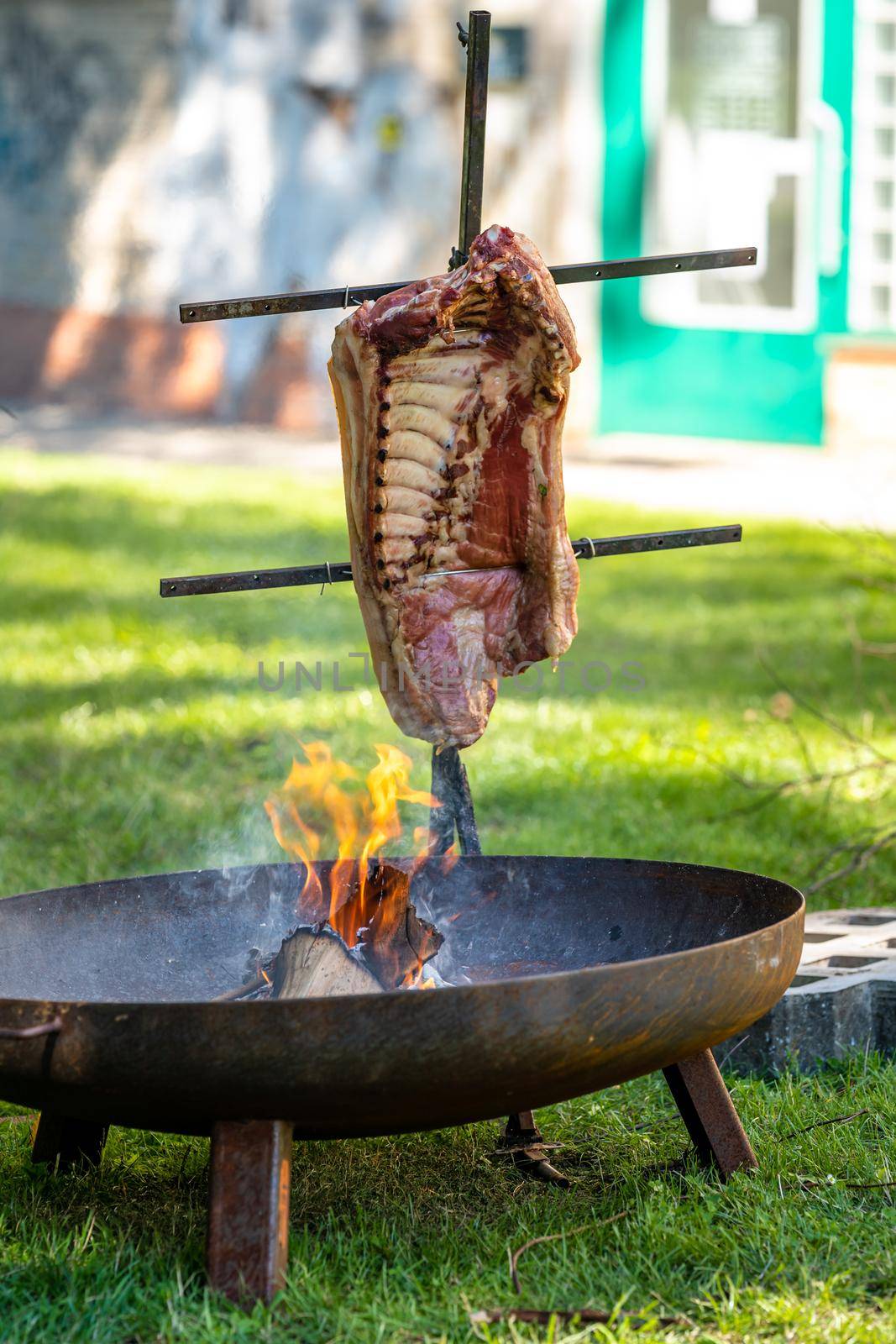 roasting meat on an open fire at a garden party by Edophoto