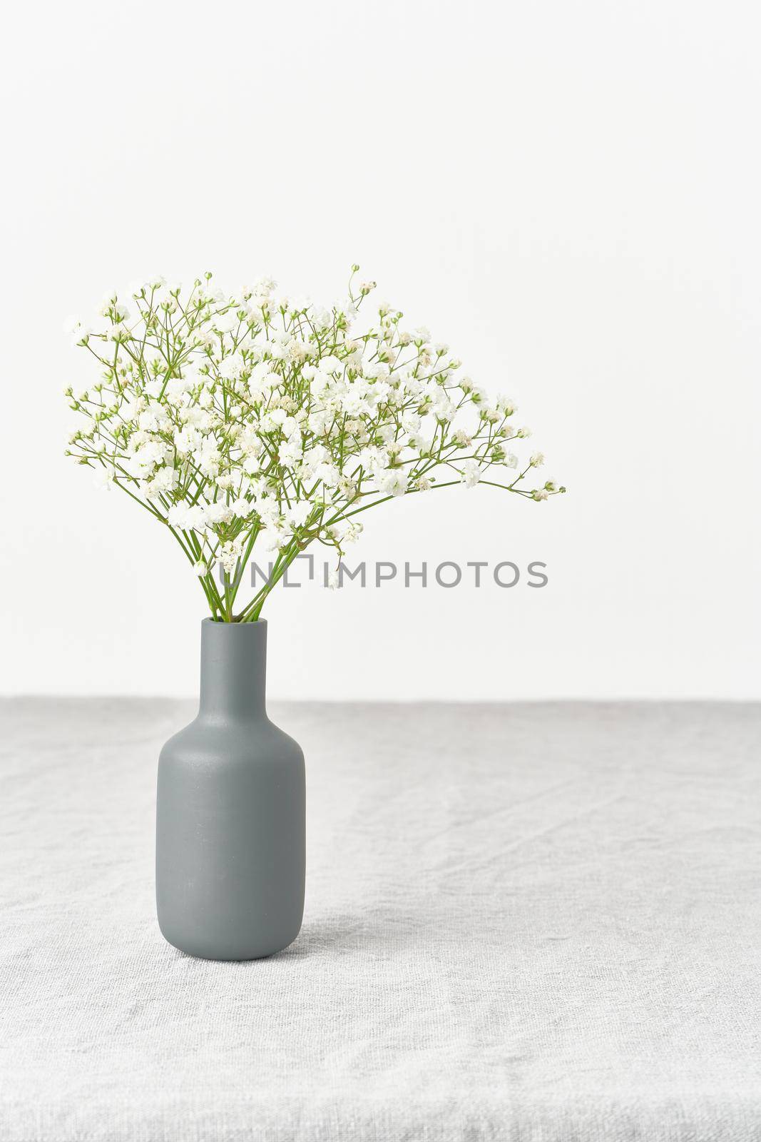 Gypsophila flowers in vase. Soft light, Scandinavian minimalism, white walls by NataBene