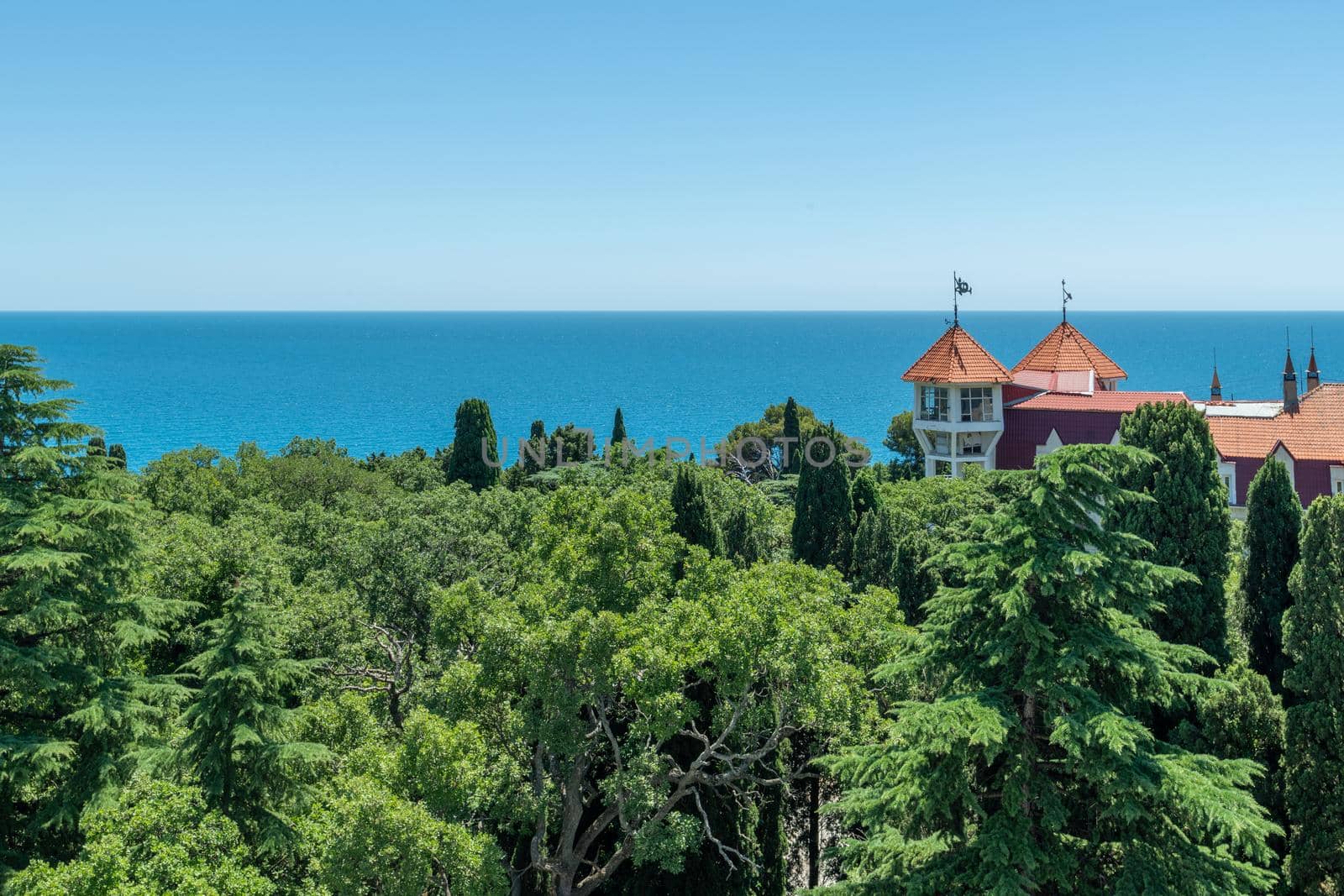 View of Miskhor Park and Black Sea, Crimea