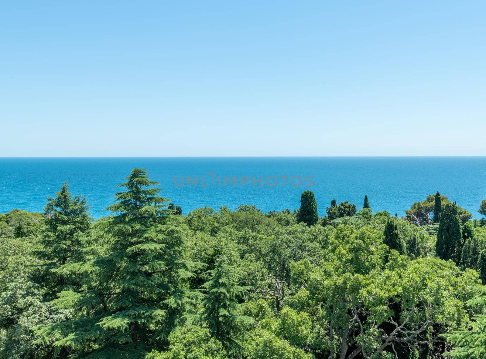 View of Miskhor Park and Black Sea, Crimea