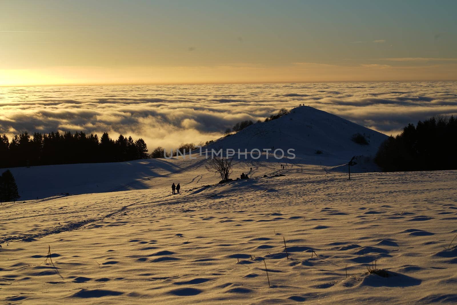 The concept of relaxing in the mountains in winter in the snow on skis, snowboards or sleds, walking under the setting sun at sunset on the Wasserkuppe mountain in Hesse Germany by Costin