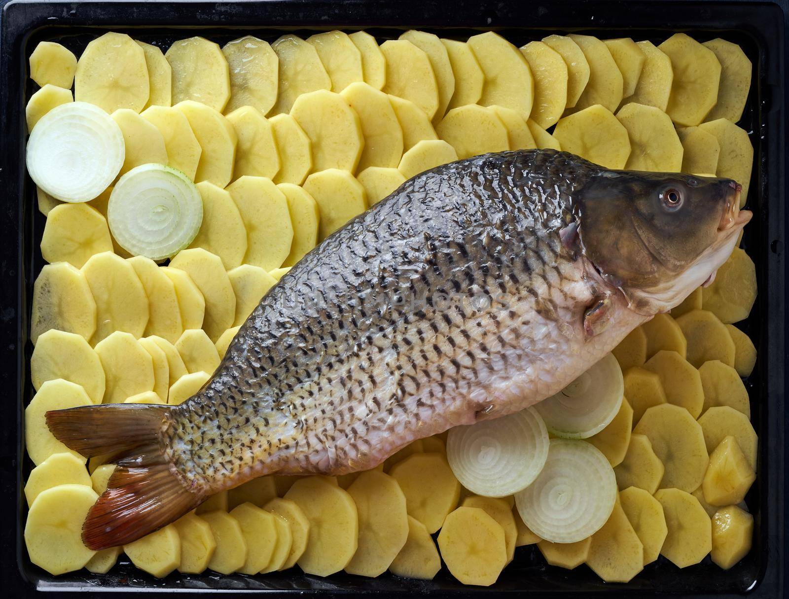 Raw carp, whole fish with sliced potatoes on large tray on dark blue background. Traditional European Polish dish, suitable for a Christmas table