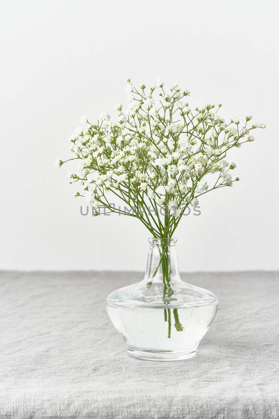 Gypsophila flowers in glass vase. Soft light, Scandinavian minimalism, white walls, gray table. Empty space for text. Spring still life, vertical