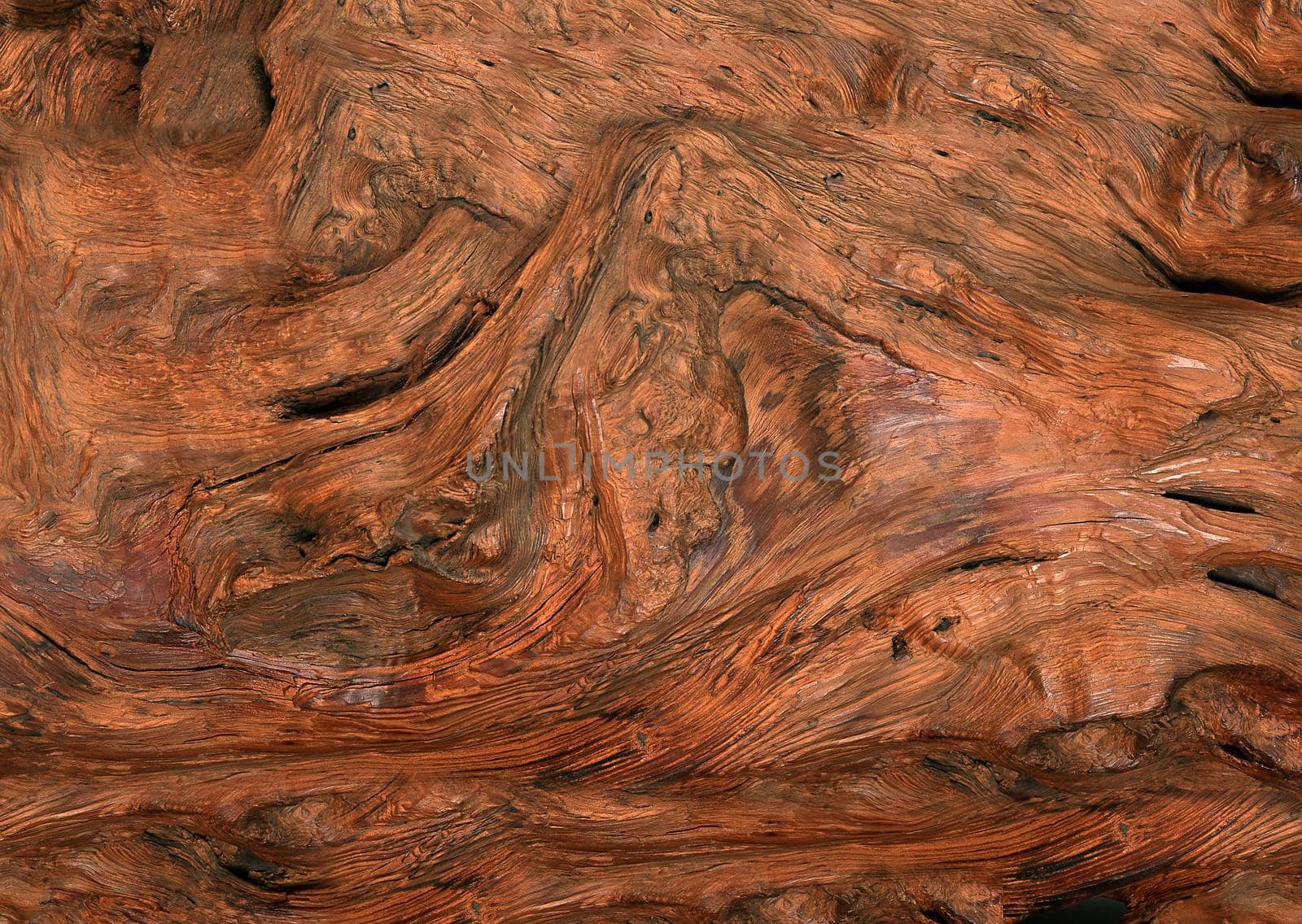 Uneven and curved varnished surface of a piece of wood