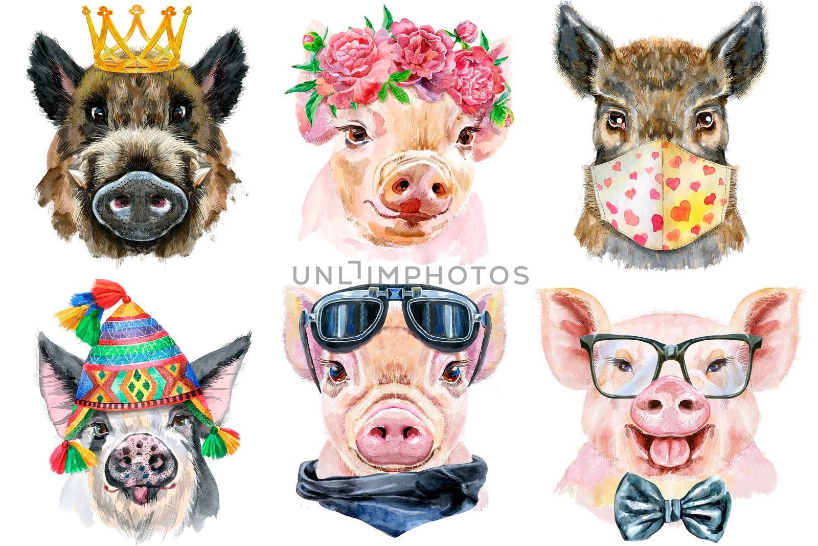 Watercolor illustration of tigers in wreath of peonies, chullo hat, medical protective mask, glasses and golden crown