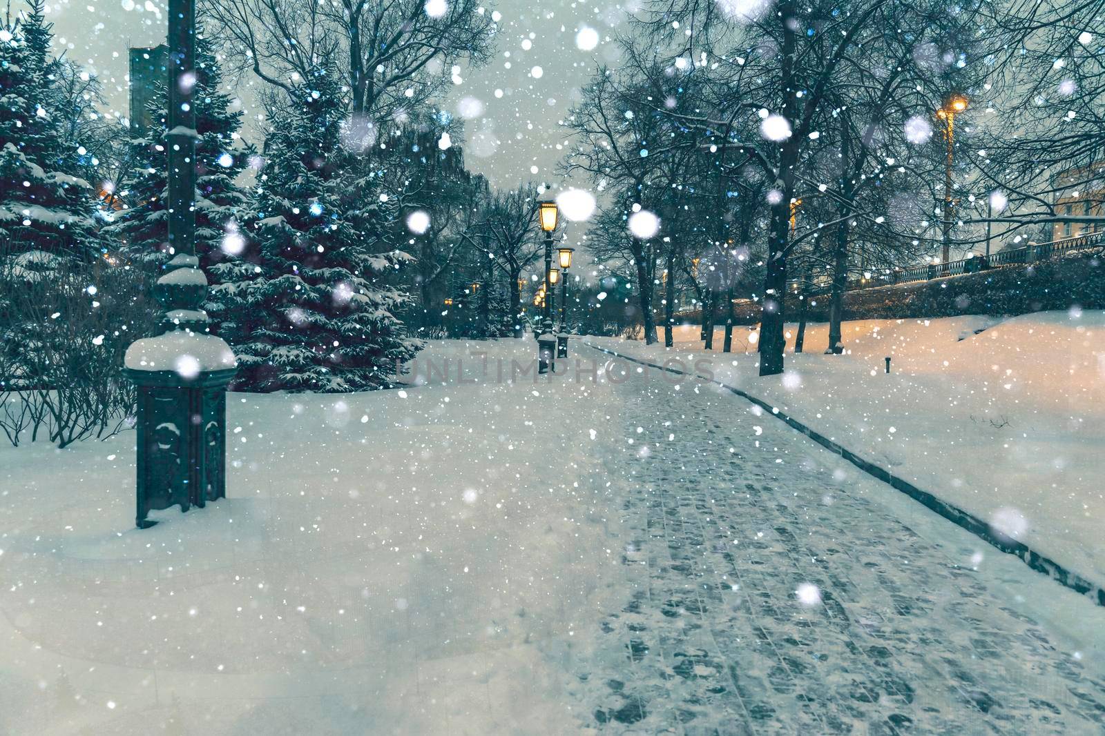 alley of the Alexander Garden on a winter night in heavy snowfall by Lena_Ogurtsova