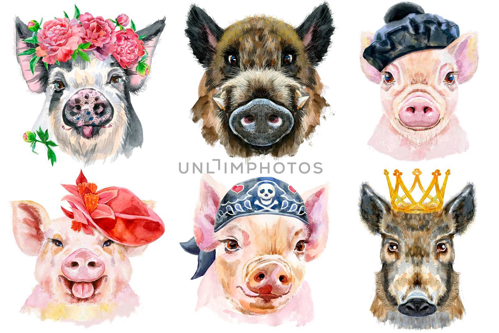 Watercolor illustration of pigs in wreath of peonies, beret, red hat, bandana and golden crown