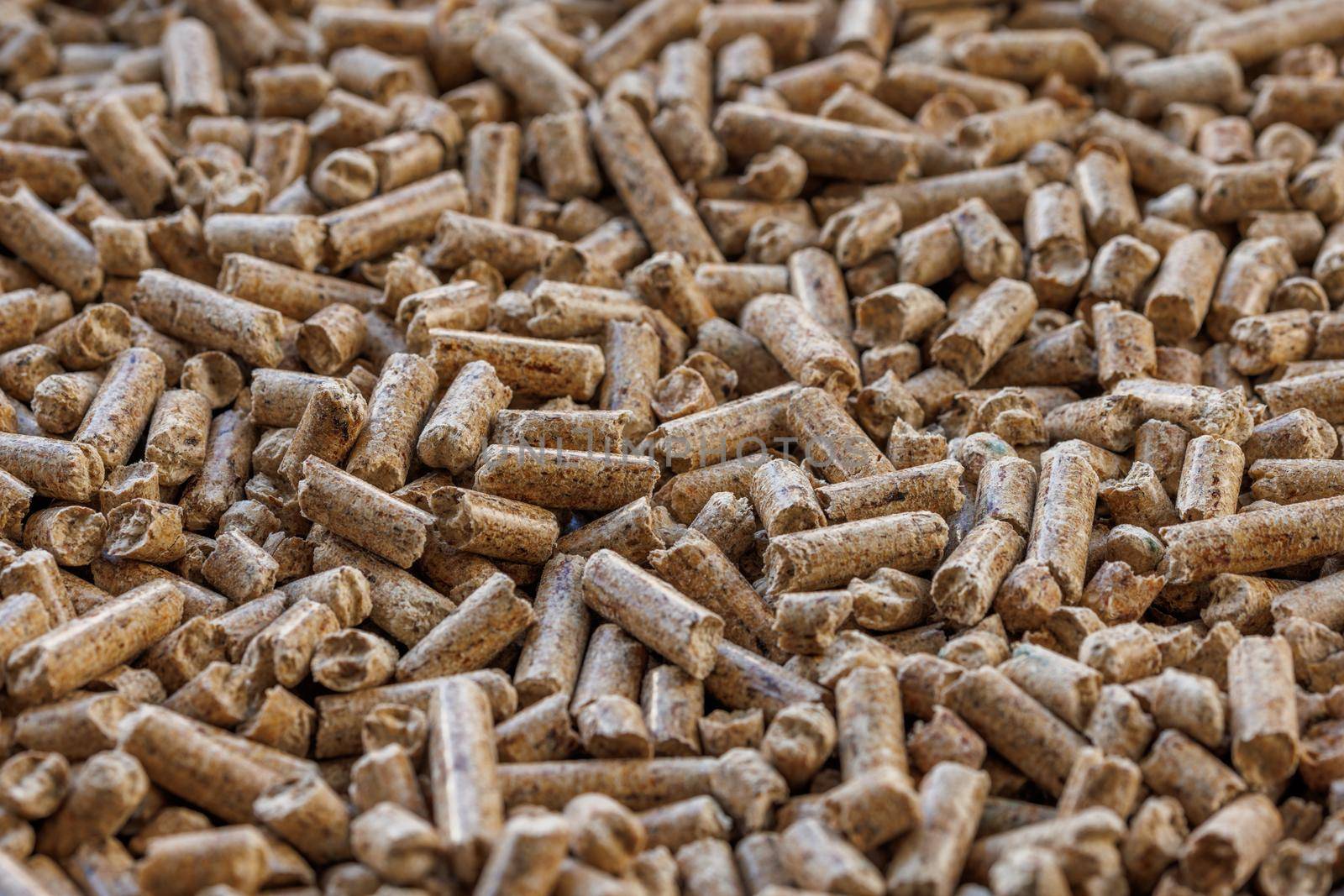 Compacted wooden sawdust pellets. Litter for pets and bio fuel, full frame closeup background with selective focus. by z1b