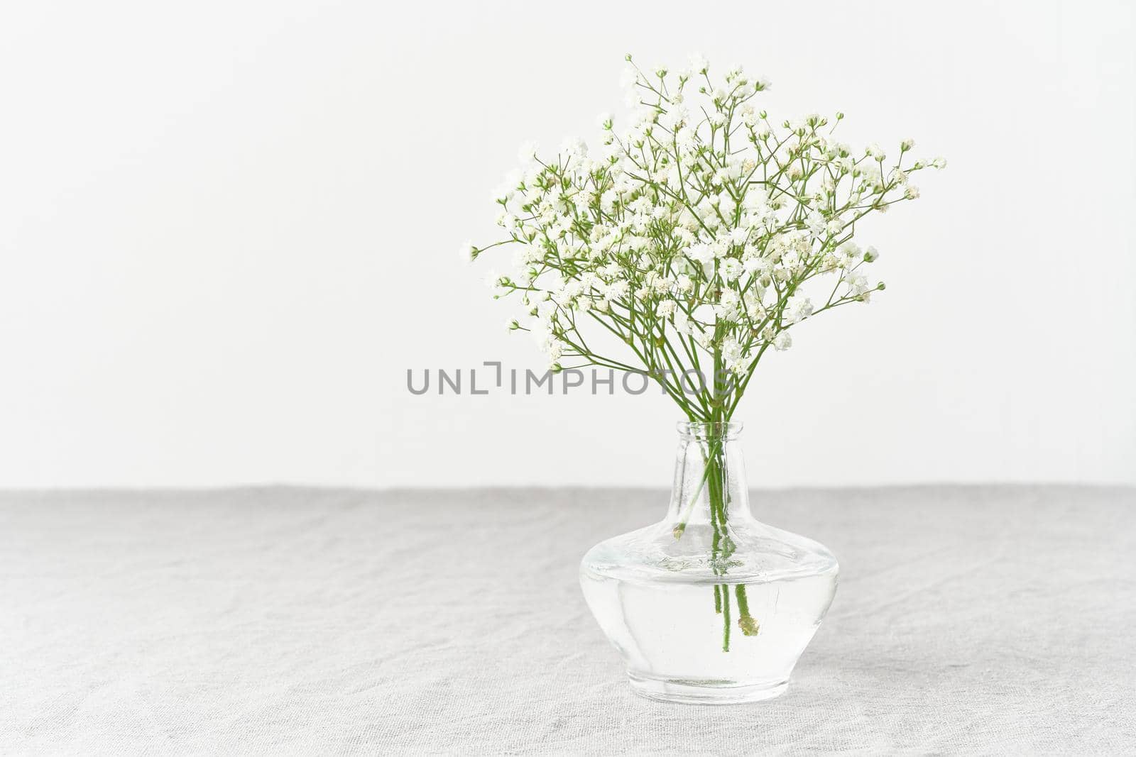 Gypsophila flowers in glass vase. Soft light, Scandinavian minimalism, white walls, gray table. Empty space for text. Spring still life, vertical