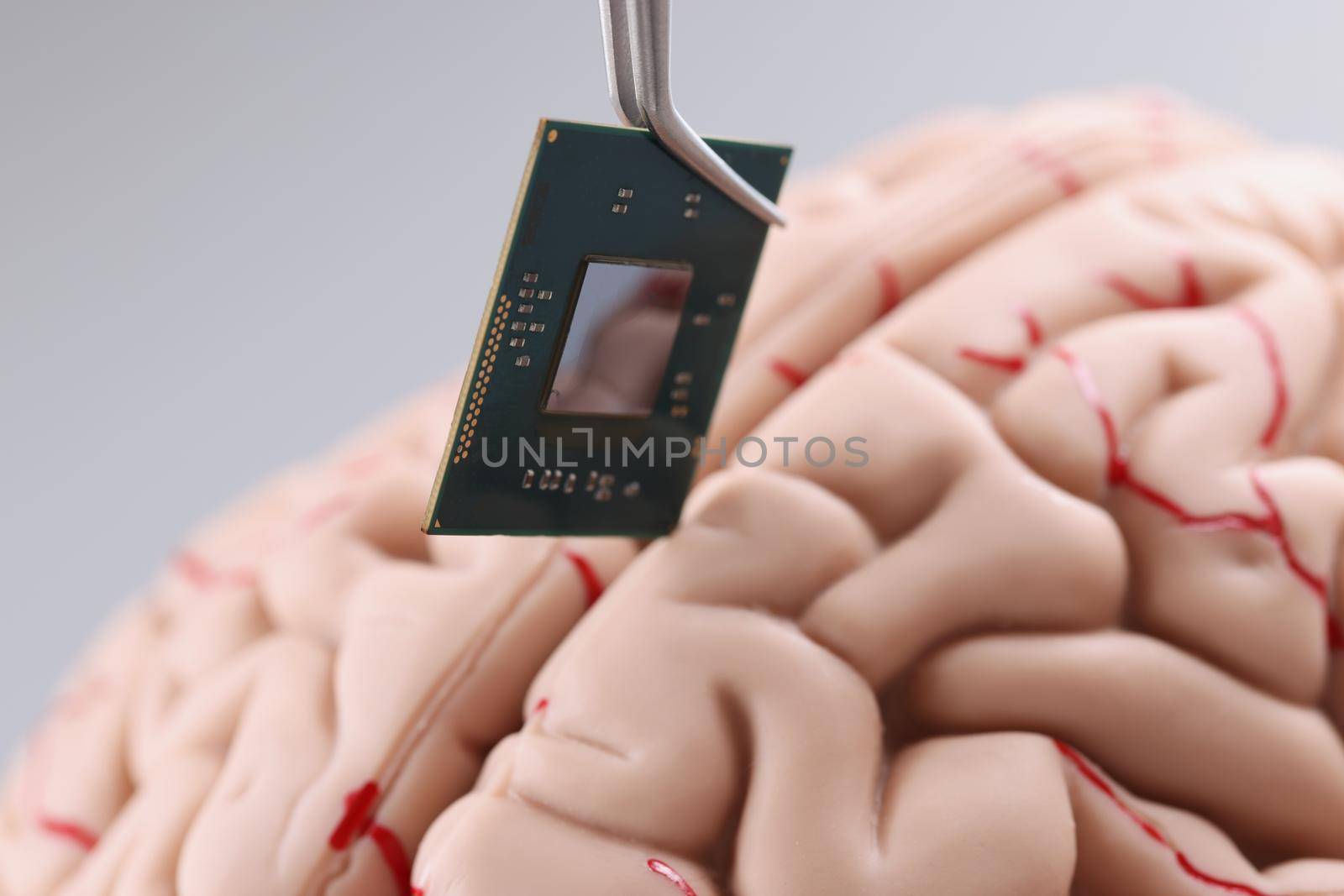 Close-up of person use tweezer tool to put tiny computer chip detail in human brain model. Microprocessor in head. Modern technology, digital world concept