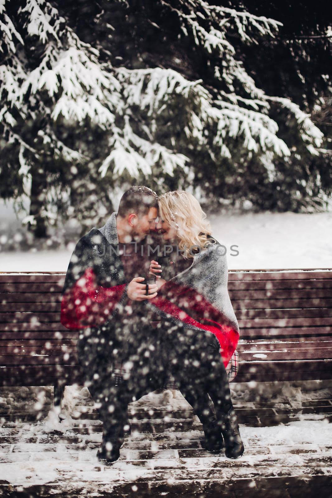 Couple in love sitting on bench and smiling in snowing forest. by StudioLucky