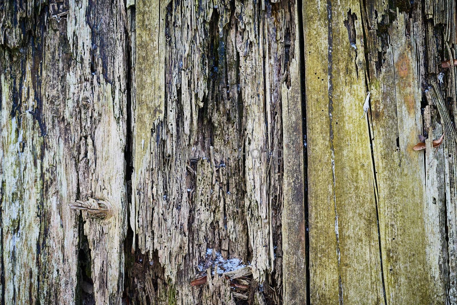 Old wood texture for web background, Rotten, decrepit, rotten wooden scratch backdrop.