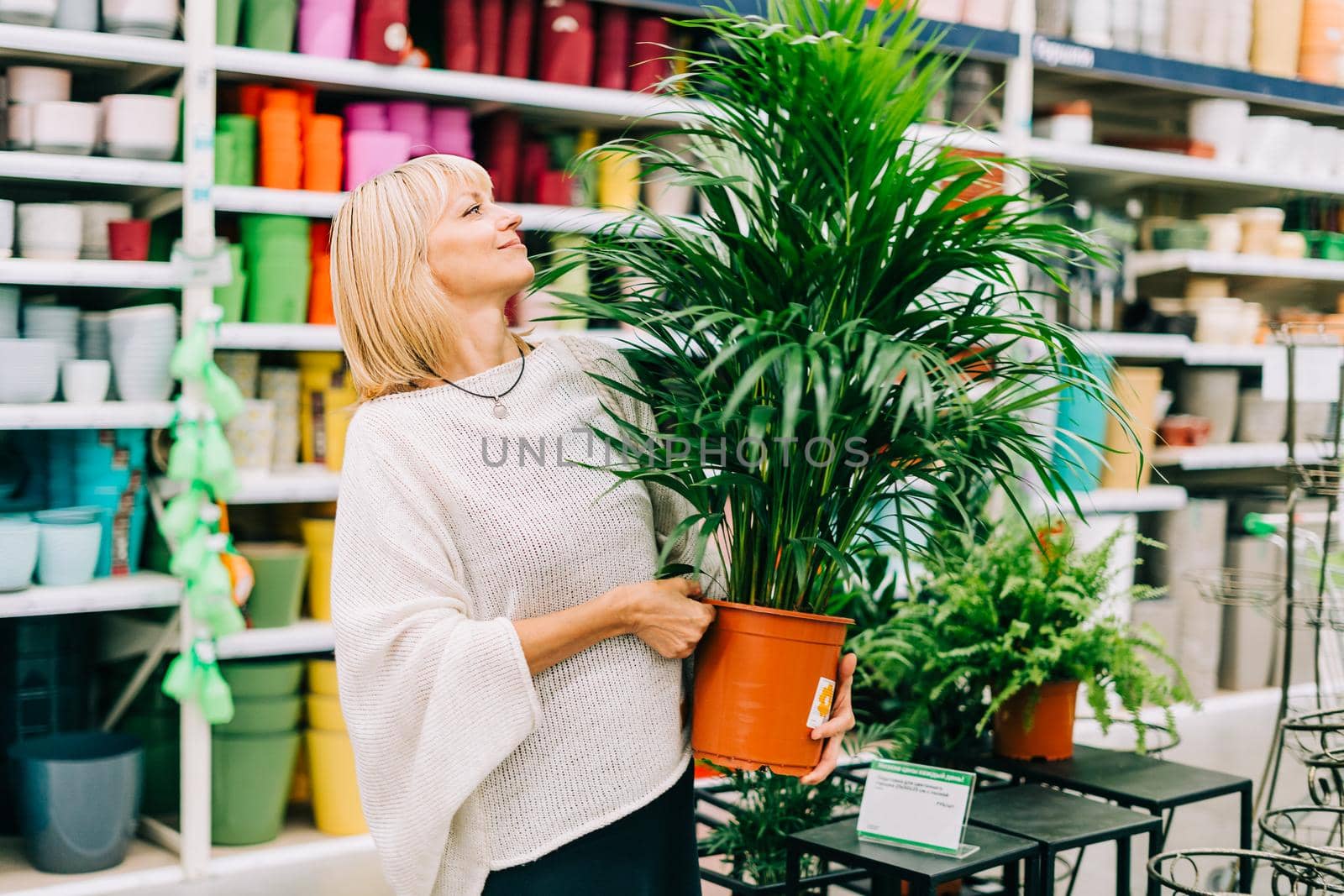 Gardening, planting and shopping concept. Beautiful mature adult woman choosing houseplants and pots in greenhouse or garden centre. Senior buying flowers plants at market store in mall.