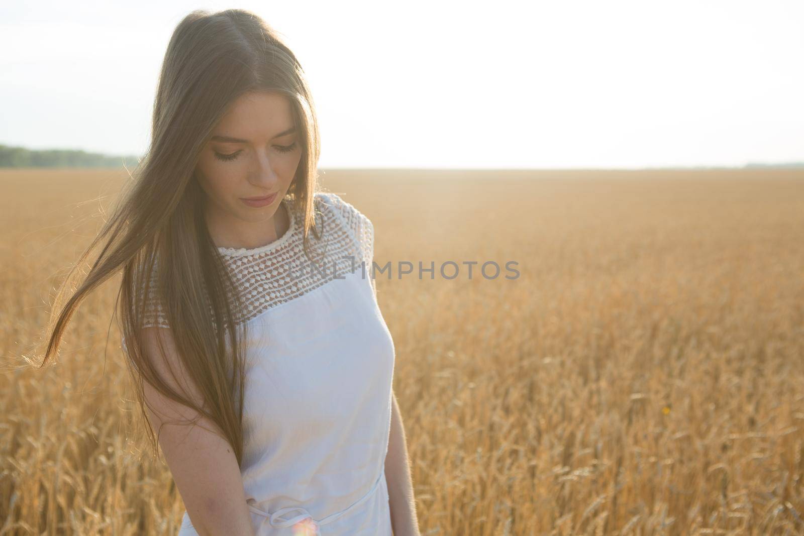 Pretty young woman in the field at sunset. Girl in summer yellow field over sun. Portrait of attractive woman over golden wheat field in summer day