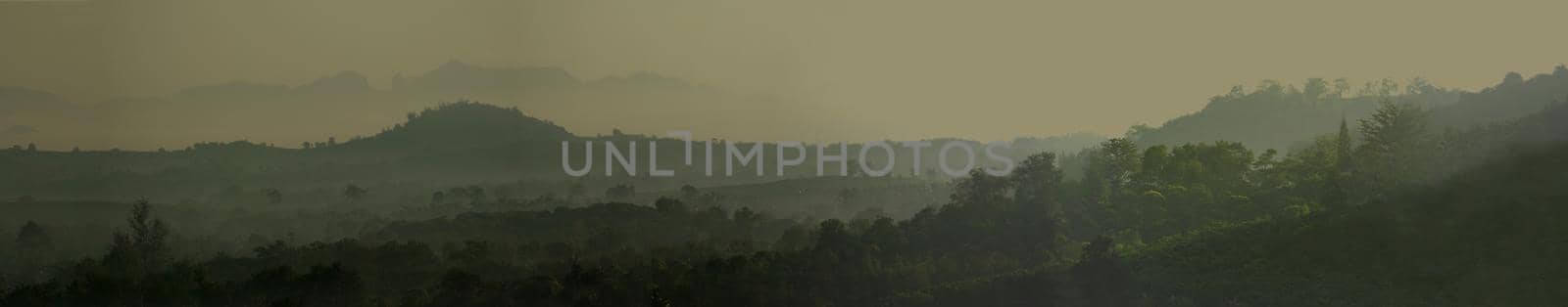 Morning mist and mountain view in the countryside