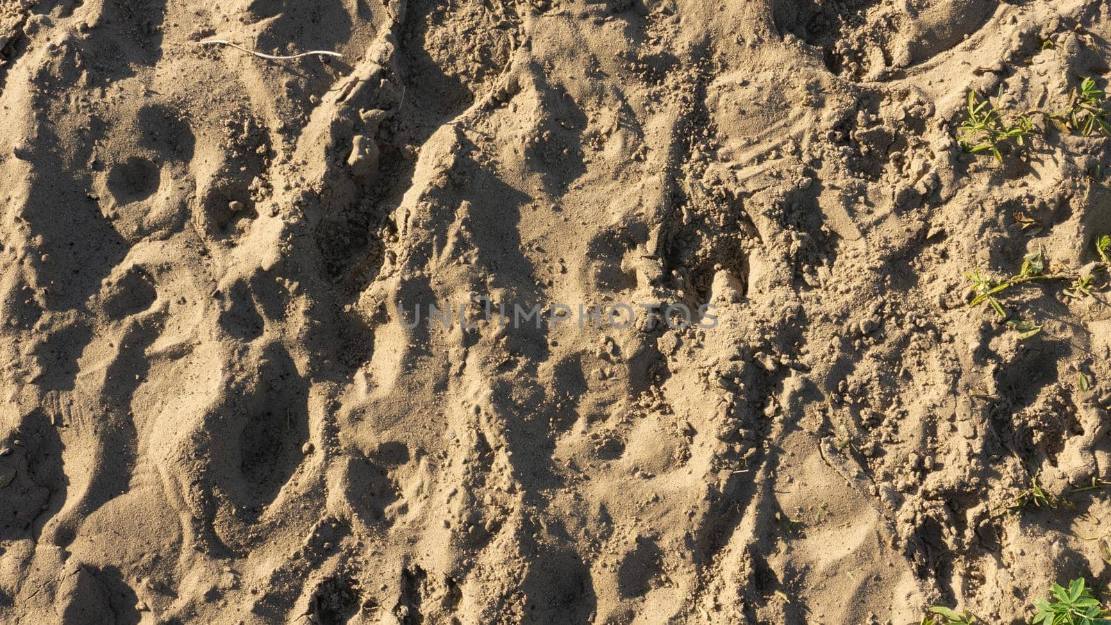 Stripes of fine sea sand on the coast. Natural background from the sand of the sea