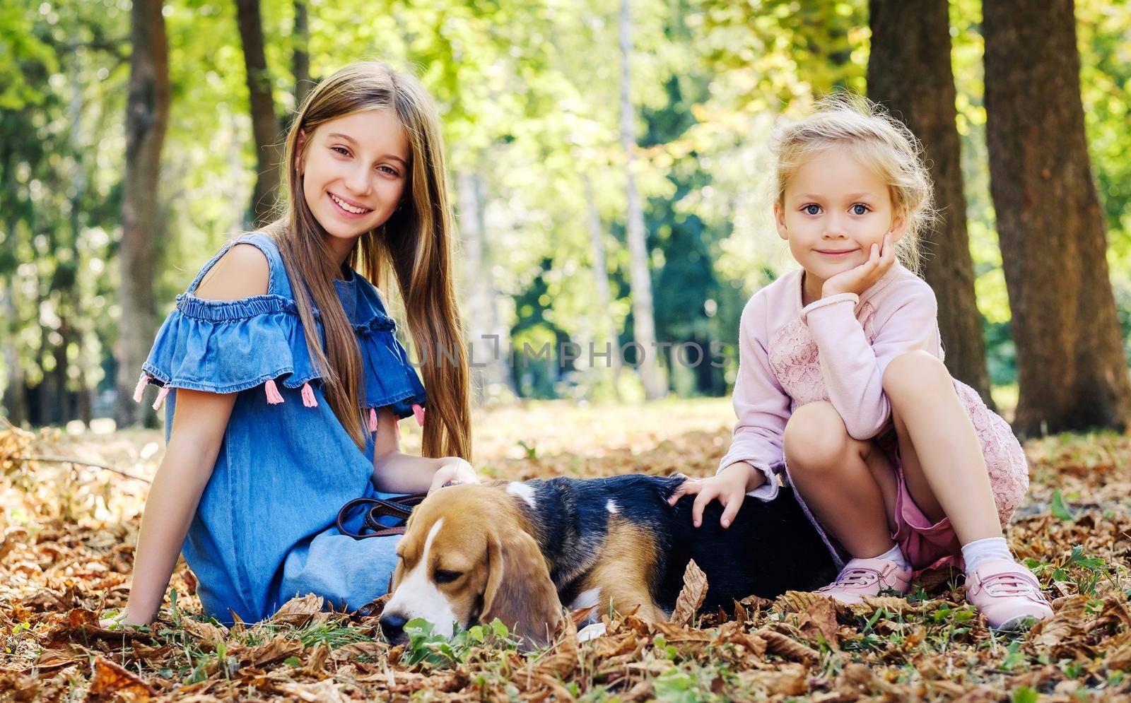 Young sisters playing with beagle dog in leaves