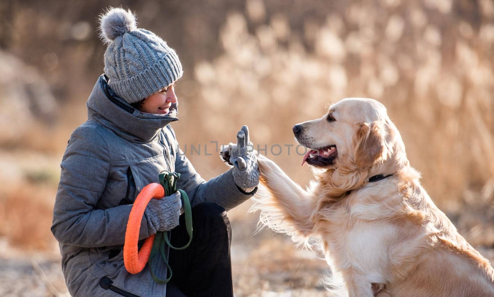 Woman owner sitting and high five to golden retriever dog during early spring walk outdoors. Girl with doggy pet labrador together at the nature