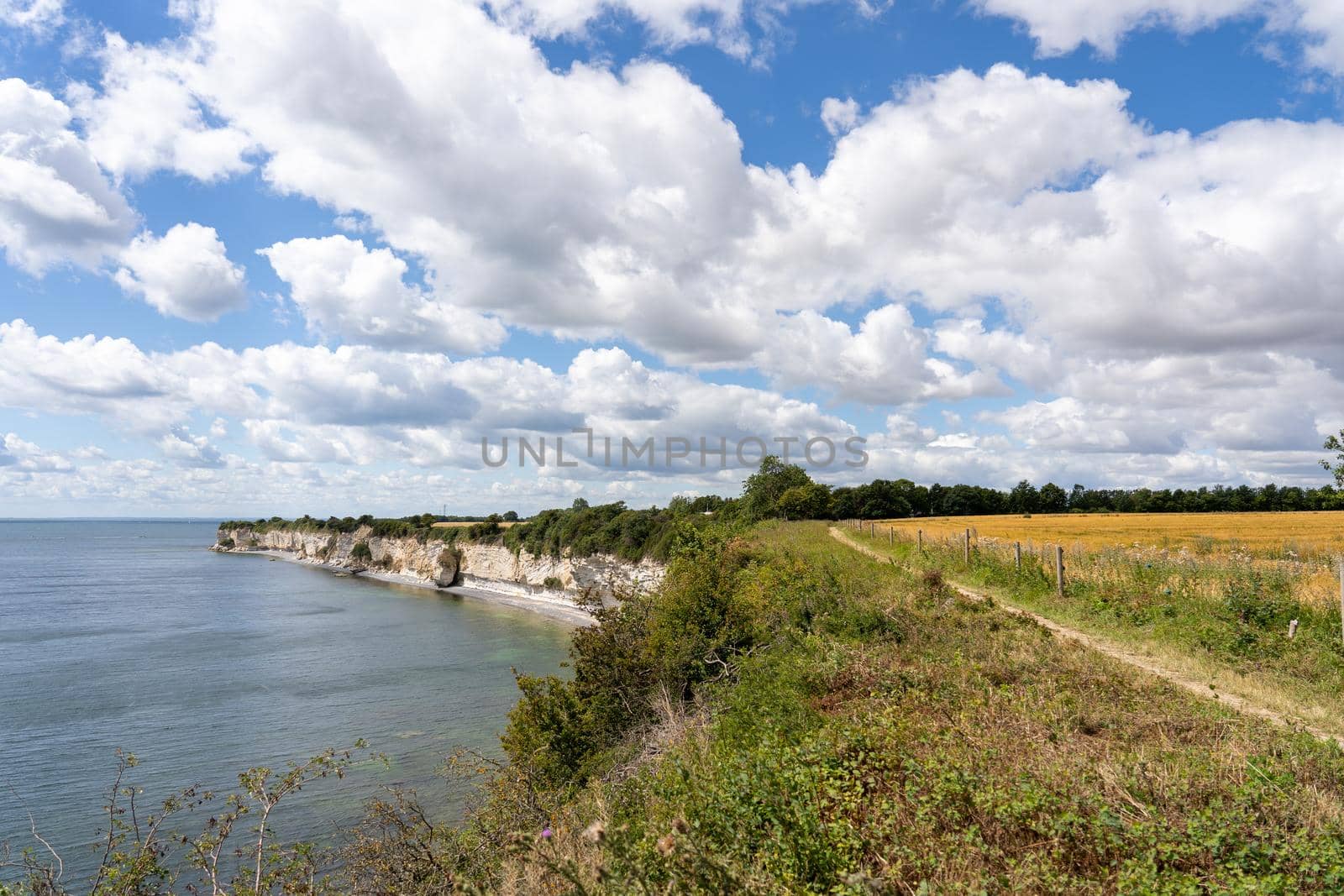 Hojerup, Denmark - July 21, 2020: View of the coastline at Stevns Klint cliff