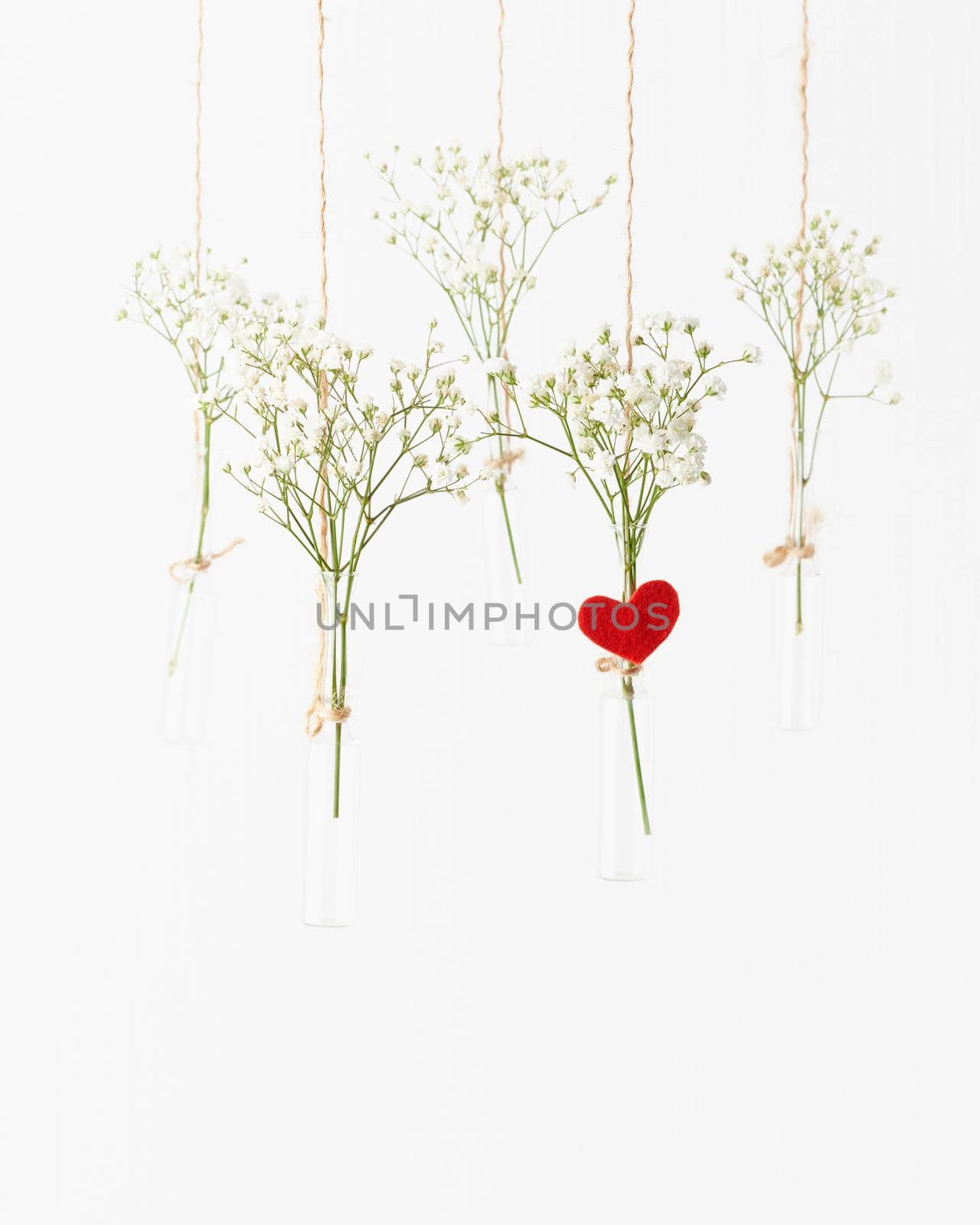 White flowers in glass mini vases hanging. Concept of Valentine's Day, wedding celebration. by NataBene