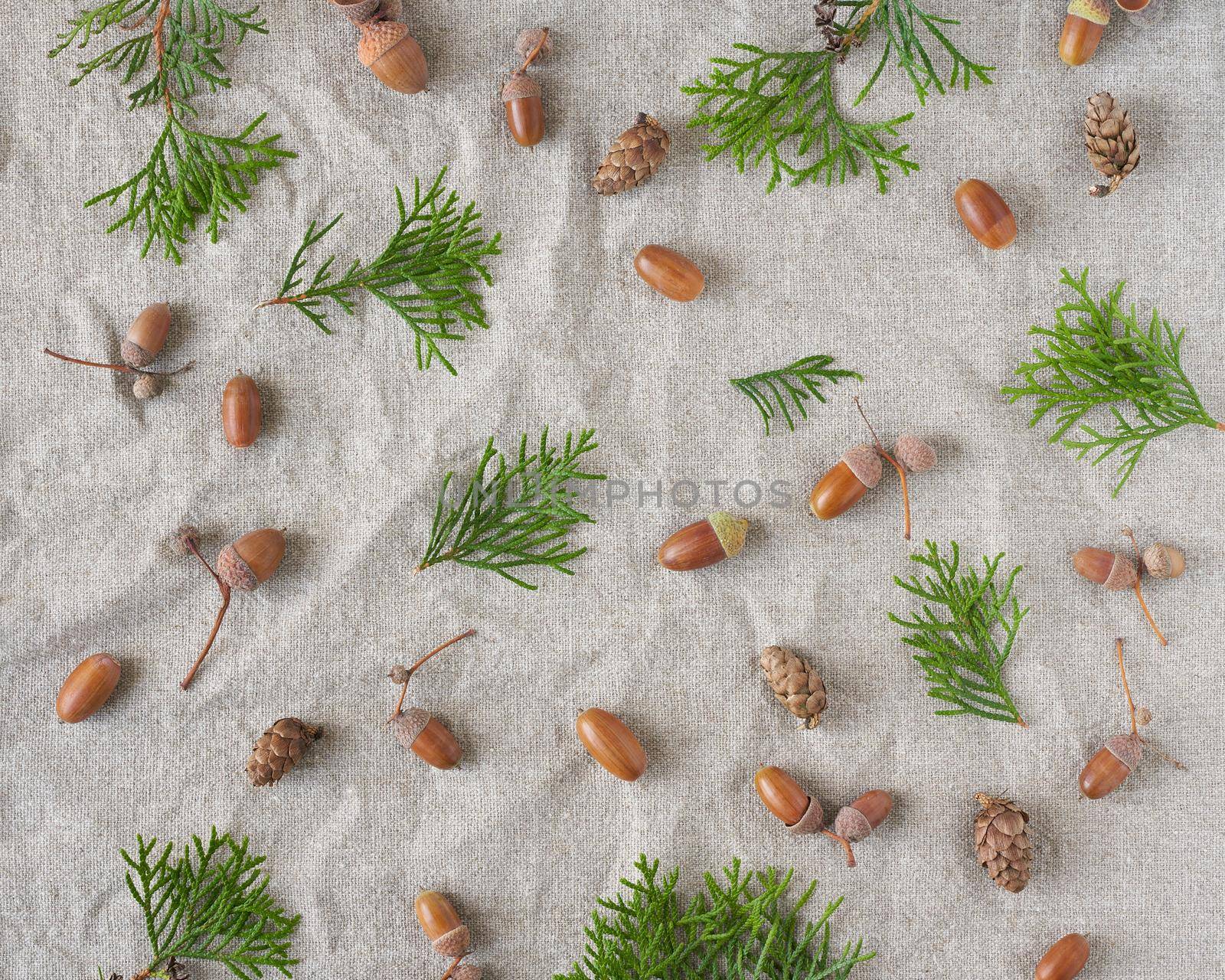 Autumn background pattern of evergreen trees, cones and acorns on gray linen textile. Empty space for text with natural elements.