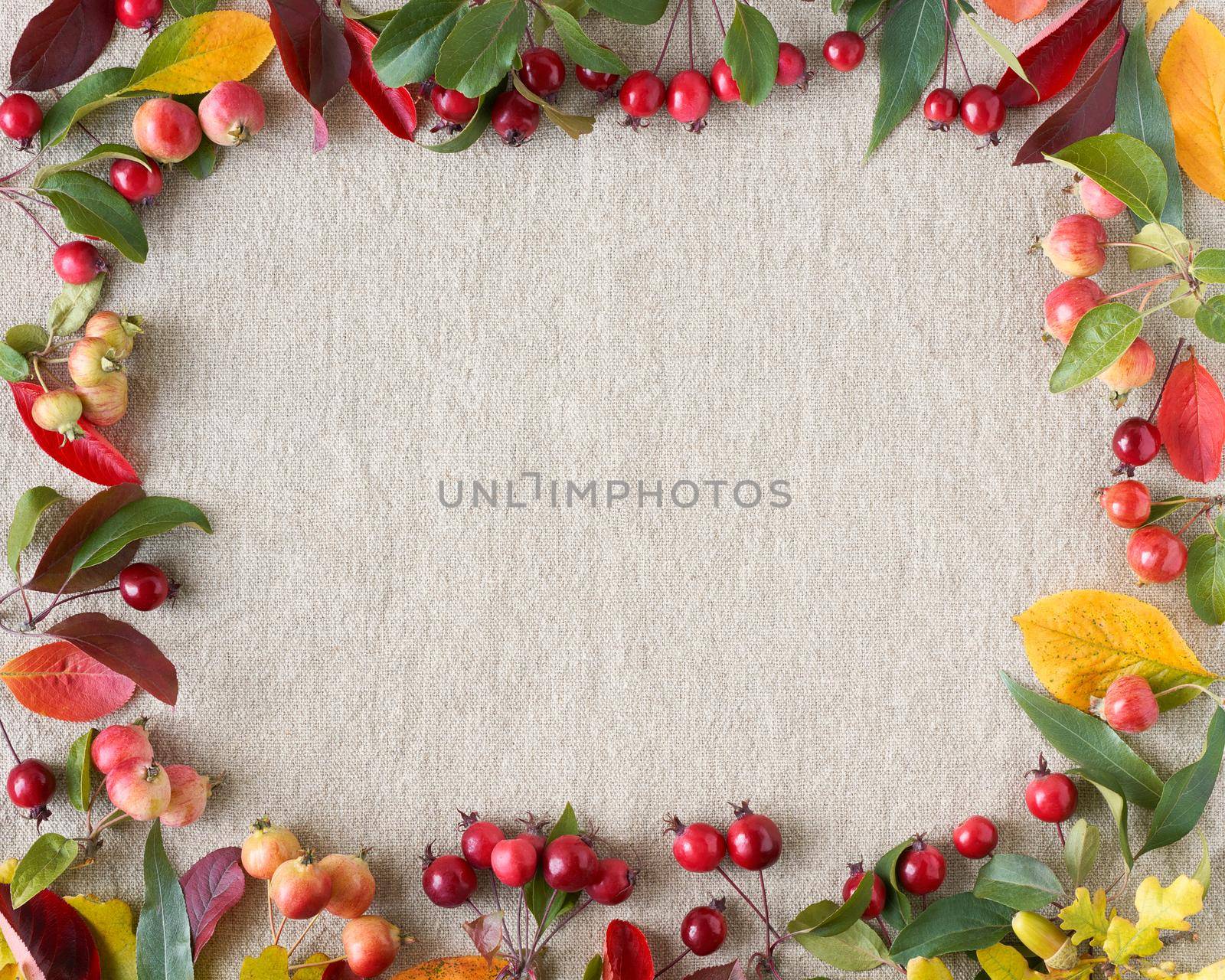 Autumn background of berries, small wild apples, acorns and leaves gray linen textile background by NataBene